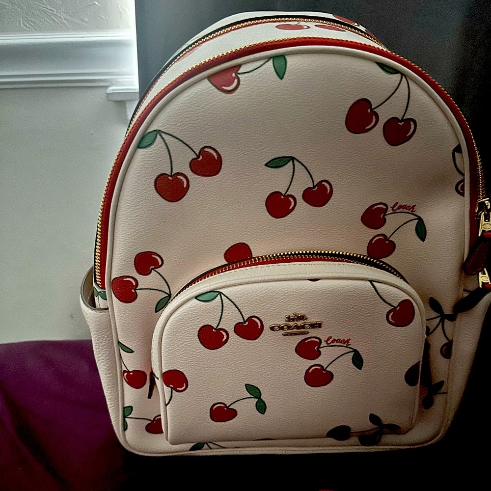 Back pack